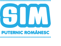 Simultan logo